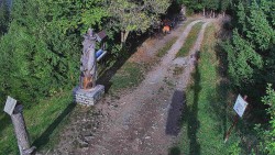 Biały – trasa biegowa