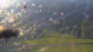 Skiareál Bílá - Lyžařské svahy, Smrk, Lysá hora - 13.6.2025 v 20:00 Skiareál Bílá - Lyžařské svahy, Smrk, Lysá hora - 13.6.2025 v 20:00