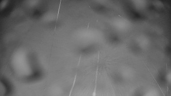 Snímek    3.11.2025 v 04:30