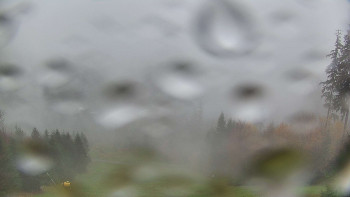 Snímek    3.11.2025 v 10:00