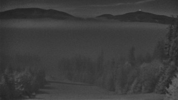 Snímek 5.11.2025 v 00:30