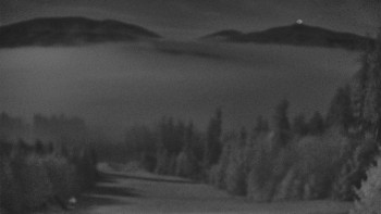 Snímek 5.11.2025 v 03:30