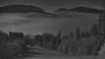 Snímek 5.11.2025 v 04:30