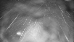 Lyžařské svahy, Smrk, Lysá hora