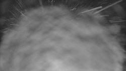 Lyžařské svahy, Smrk, Lysá hora