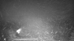 Lyžařské svahy, Smrk, Lysá hora