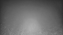 Lyžařské svahy, Smrk, Lysá hora