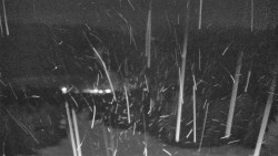 Lyžařské svahy, Smrk, Lysá hora