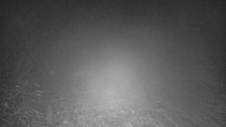 Lyžařské svahy, Smrk, Lysá hora