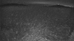 Lyžařské svahy, Smrk, Lysá hora