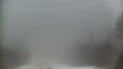 Lyžařské svahy, Smrk, Lysá hora