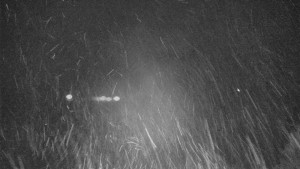 Skiareál Bílá - Lyžařské svahy, Smrk, Lysá hora - 14.12.2025 v 00:00 Skiareál Bílá - Lyžařské svahy, Smrk, Lysá hora - 14.12.2025 v 00:00