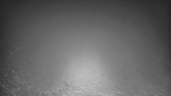 Lyžařské svahy, Smrk, Lysá hora