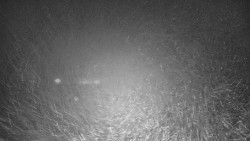 Lyžařské svahy, Smrk, Lysá hora