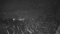 Lyžařské svahy, Smrk, Lysá hora