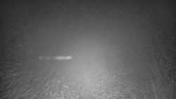 Lyžařské svahy, Smrk, Lysá hora