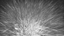 Lyžařské svahy, Smrk, Lysá hora