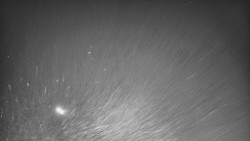 Lyžařské svahy, Smrk, Lysá hora