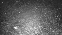 Lyžařské svahy, Smrk, Lysá hora