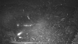 Lyžařské svahy, Smrk, Lysá hora