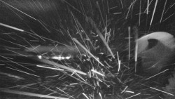 Lyžařské svahy, Smrk, Lysá hora