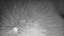 Lyžařské svahy, Smrk, Lysá hora