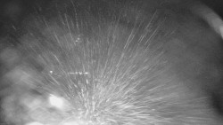 Lyžařské svahy, Smrk, Lysá hora