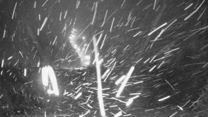 Skiareál Bílá - Lyžařské svahy, Smrk, Lysá hora - 31.12.2025 v 19:30 Skiareál Bílá - Lyžařské svahy, Smrk, Lysá hora - 31.12.2025 v 19:30