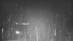 Lyžařské svahy, Smrk, Lysá hora