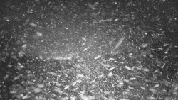 Lyžařské svahy, Smrk, Lysá hora