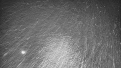 Lyžařské svahy, Smrk, Lysá hora