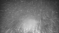 Lyžařské svahy, Smrk, Lysá hora