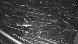 Lyžařské svahy, Smrk, Lysá hora