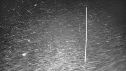 Lyžařské svahy, Smrk, Lysá hora