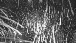 Lyžařské svahy, Smrk, Lysá hora