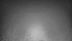 Lyžařské svahy, Smrk, Lysá hora