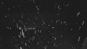 Skiareál Bílá - Lyžařské svahy, Smrk, Lysá hora - 7.2.2026 v 00:00 Skiareál Bílá - Lyžařské svahy, Smrk, Lysá hora - 7.2.2026 v 00:00