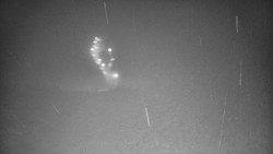 Lyžařské svahy, Smrk, Lysá hora