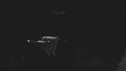 Lyžařské svahy, Smrk, Lysá hora