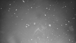 Lyžařské svahy, Smrk, Lysá hora