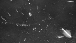 Lyžařské svahy, Smrk, Lysá hora