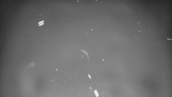 Lyžařské svahy, Smrk, Lysá hora