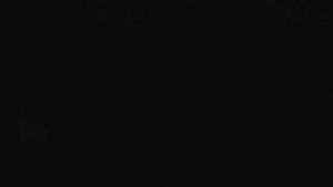 Skiareál Bílá - Lanovka - výstupní stanice - 14.6.2025 v 01:00 Skiareál Bílá - Lanovka - výstupní stanice - 14.6.2025 v 01:00