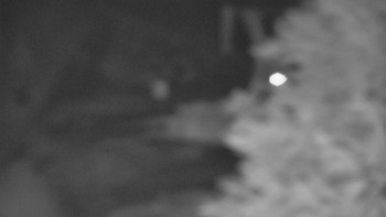 Snímek    20.10.2025 v 22:01