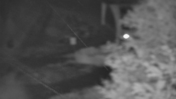 Snímek    26.10.2025 v 01:01