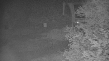 Snímek    27.10.2025 v 18:01