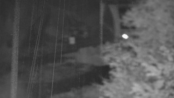 Snímek    27.10.2025 v 21:31