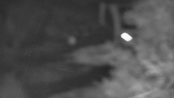 Snímek    29.10.2025 v 00:31