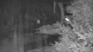 Skiareál Bílá - Lanovka - výstupní stanice - 29.10.2025 v 03:01 Skiareál Bílá - Lanovka - výstupní stanice - 29.10.2025 v 03:01