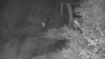 Snímek    29.10.2025 v 04:31